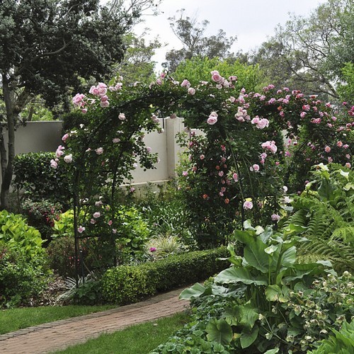 Arco per rose - , metallo