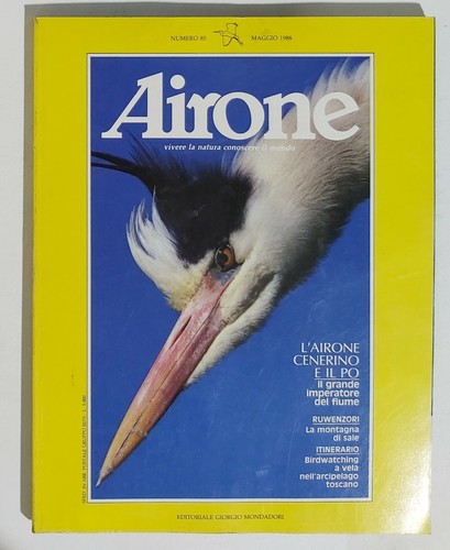 02590 airone viii - viii, 85