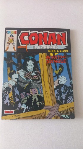 Conan barbaro avvolto nel - conan, il