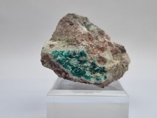 Minerali◇Dioptasio