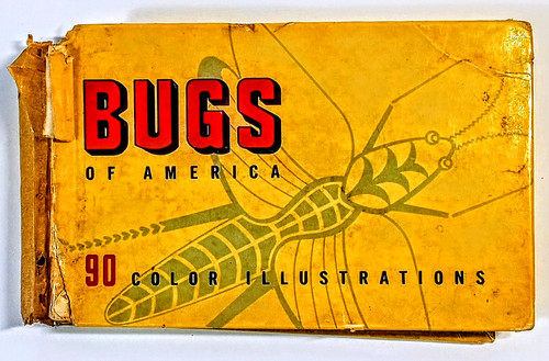 Insects america - (1937), –
