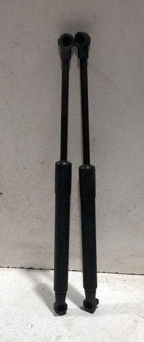 Pistoncini cofano ant - pistoncini,