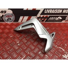 Ecope de radiateur gauche