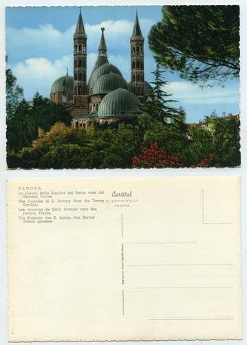 59590 padova le cupole - -,