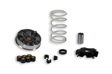 Variatore Malossi MHR Multivar