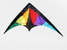 Aquilone acrobatico Dragon