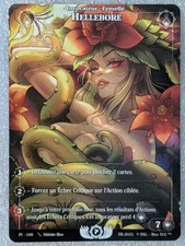 Hellebore - PRESTIGE 2025 -