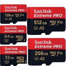 SanDisk Scheda microSDXC