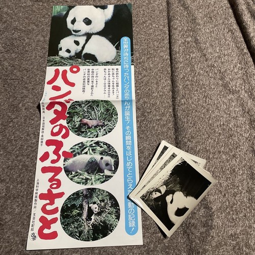 Foglio stampa panda - panda's, hometown