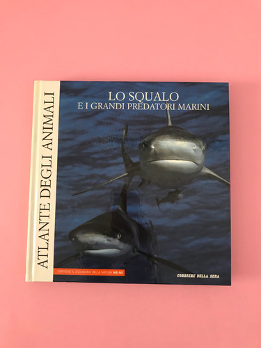 Squalo grandi predatori - e, i