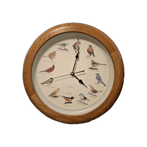 Orologio national audubon - national,