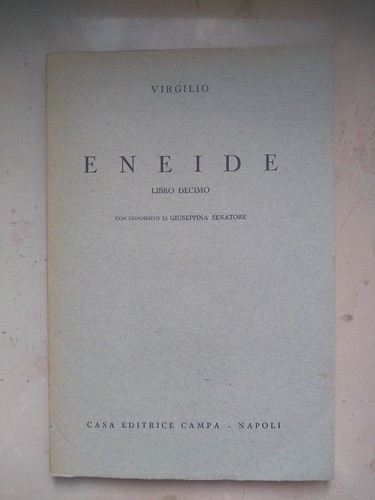 Eneide libro decimo virgilio - decimo,