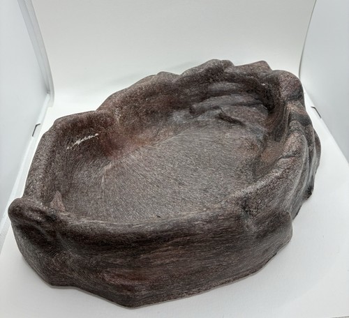 Piatto acqua rettile roccia