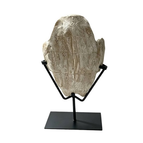 Scultura forma guscio di - scultura, a