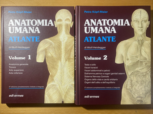 Anatomia umana atlante - , di