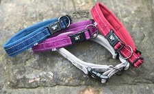Collare cane hurtta premium - collare,