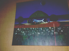 GIGI MARTORELLI olio su tela