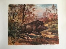 ROBERTO LEMMI - STAMPA