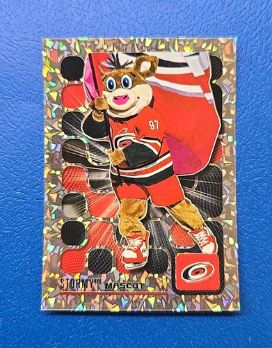 Stormy mascot carolina - -,