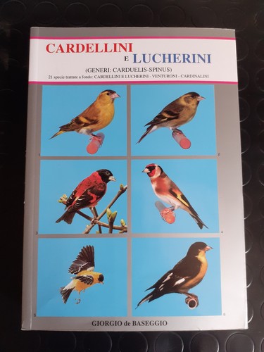 Libro canarini - libro,