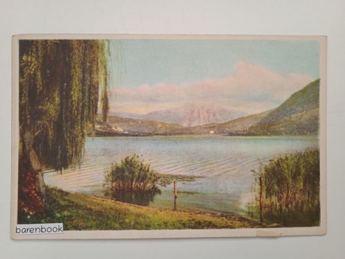 Cartolina illustrata - ,