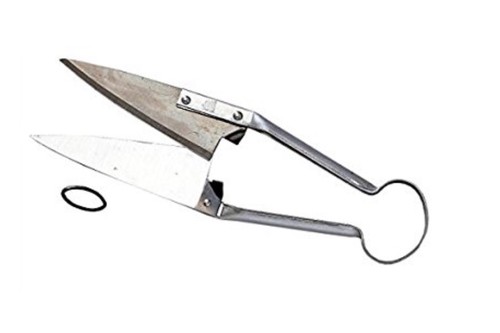 Ausonia forbice tosapecore - ausonia,