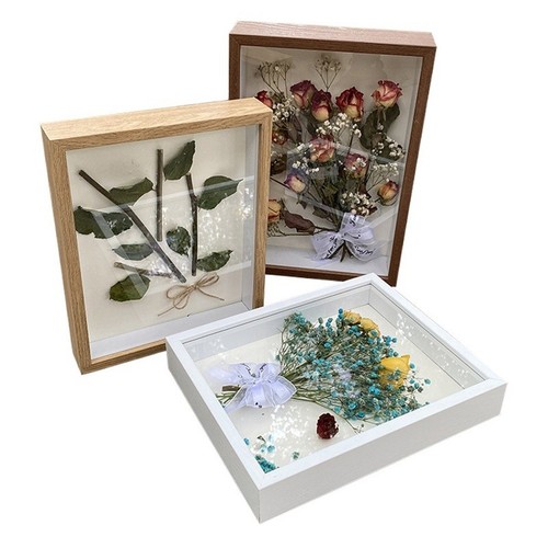 Espositore farfalla cornice - farfalla,