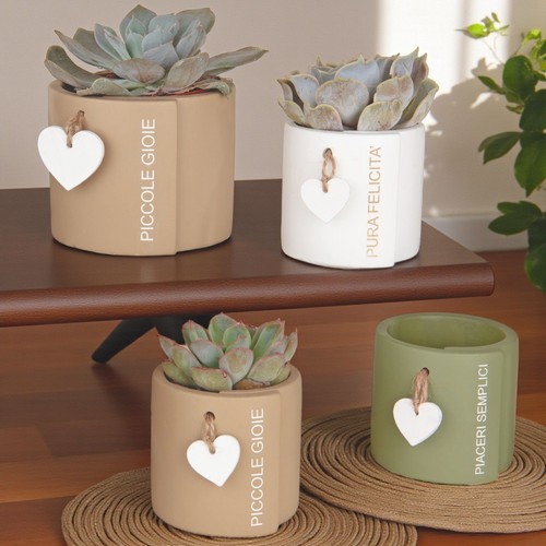 Vaso portapiante cuorcino - portapiante,