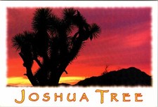 Continental Postcard  Joshua