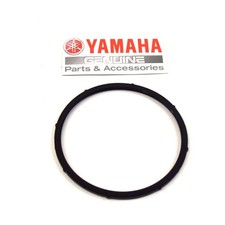 19B244860100 ANELLO O RING