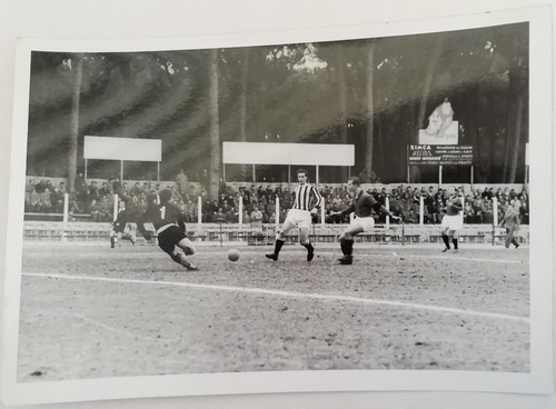 Fotografia calcio viareggio - fotografia,