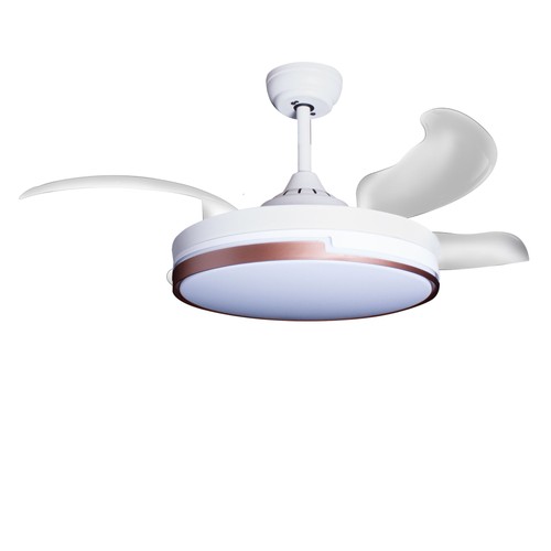 Ventilatore soffitto con - ventilatore,
