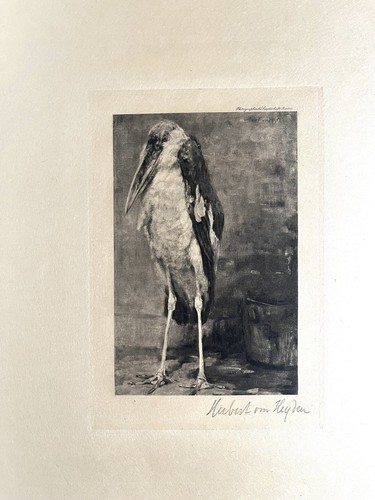 Grafica hubert friedrich - hubert,