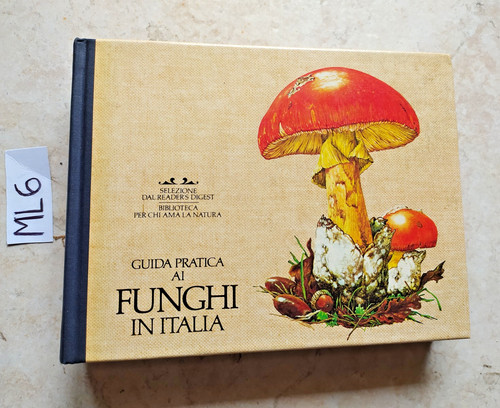 Libro guida pratica - libro,