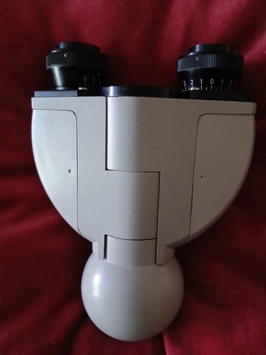 Microscope zeiss binocular - microscope, zeiss.