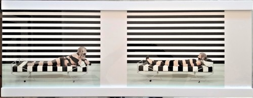 Vanessa beecroft - beecroft,
