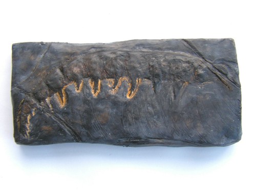 Fossils replica cambrian - fossils,