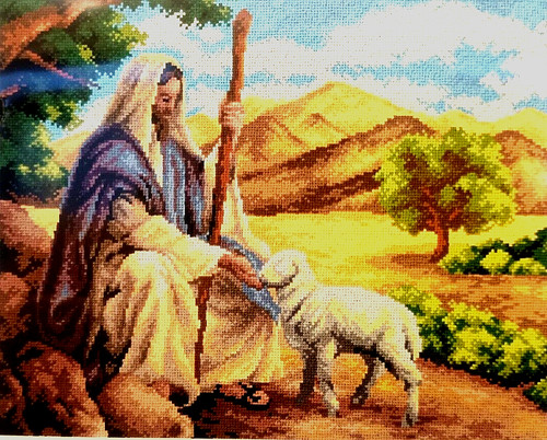 Quadro canovaccio mezzo punto - canovaccio,