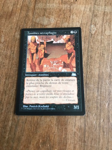 Carte magic the gathering - magic, n273