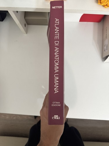 Netter atlante anatomia - di,