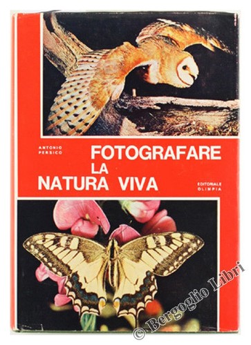 Fotografare natura viva - fotografare,