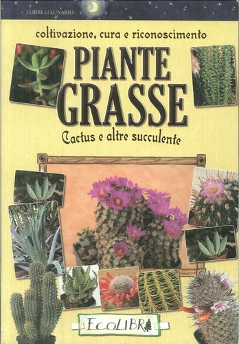 Piante grasse coltivazione - piante, grasse.