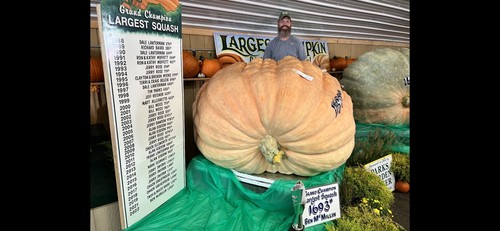 Semi zucca gigante - semi, di