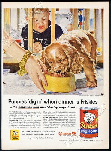 1957 cocker spaniel - 1957,