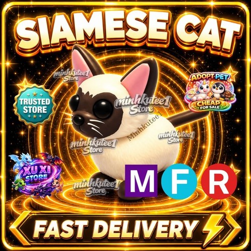 Mfr nfr gatto siamese - mfr/nfr/fr,