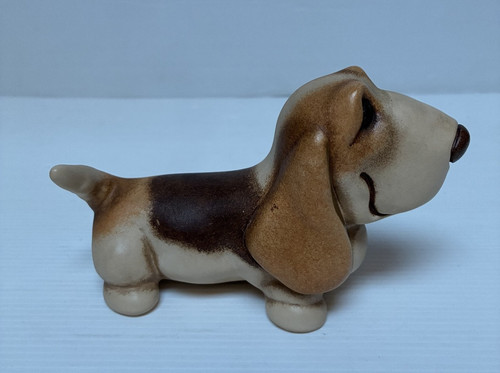 Thun basset hound fuori - thun,