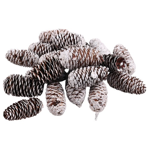 Pezzi pigne decorative - 20, di