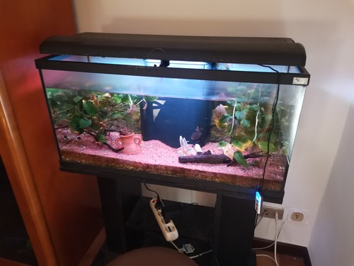 Acquario completo usato - usato,, marca
