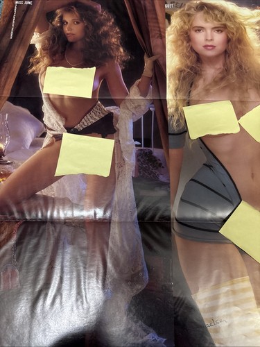 Play boy magazine centerfolds - play,
