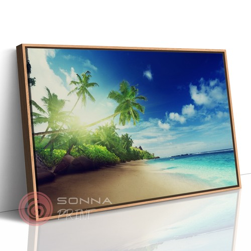 Spiaggia tropicale decorazione - spiaggia,